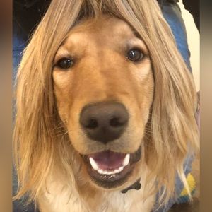 Meet your Posher, Kara